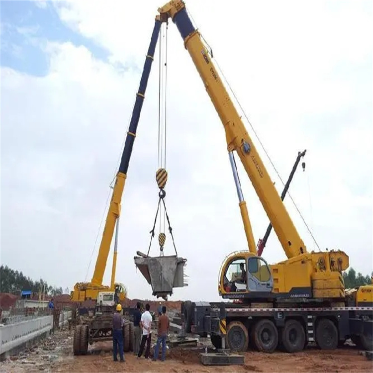 莱州小型吊机出租电话|厂房设备吊装方案|24小时服务覆盖